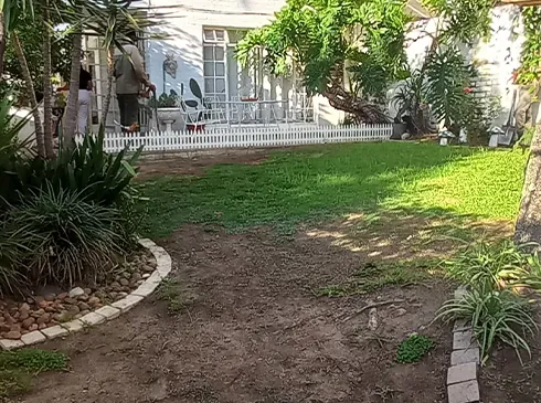 Before: the same garden with patchy grass and exposed soil